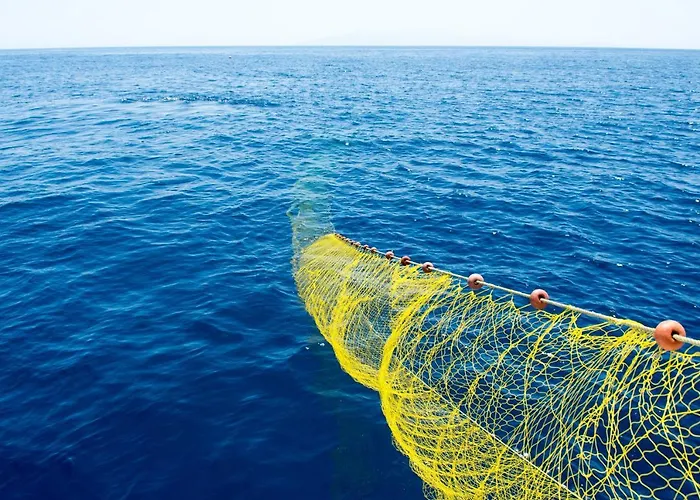 Eleftheria & * Ornos (Mykonos)