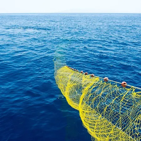 Eleftheria & * オルノス