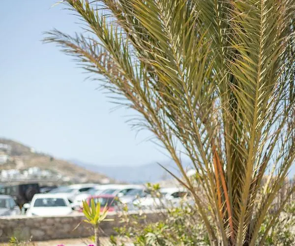 Eleftheria & * Ornos (Mykonos)