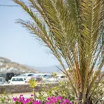 Eleftheria & * Ornósz