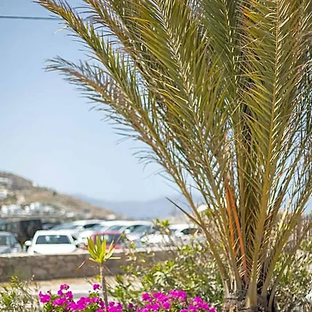 Hotell Eleftheria & *