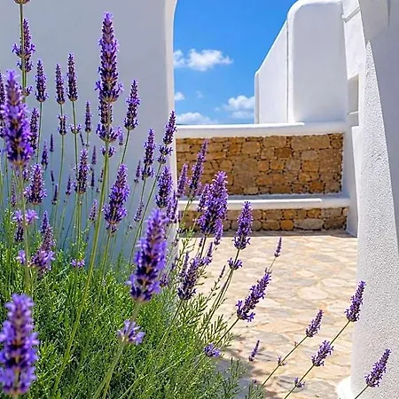Eleftheria & Hotell Ornos (Mykonos)